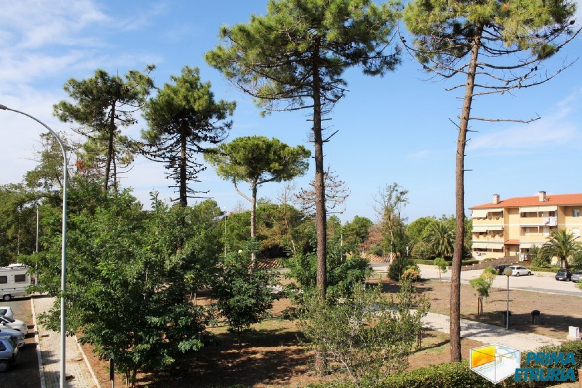 VENDESI AMPIO TRE CAMERE CON INGRESSO INDIPENDENTE - ZONA TOMBOLO -