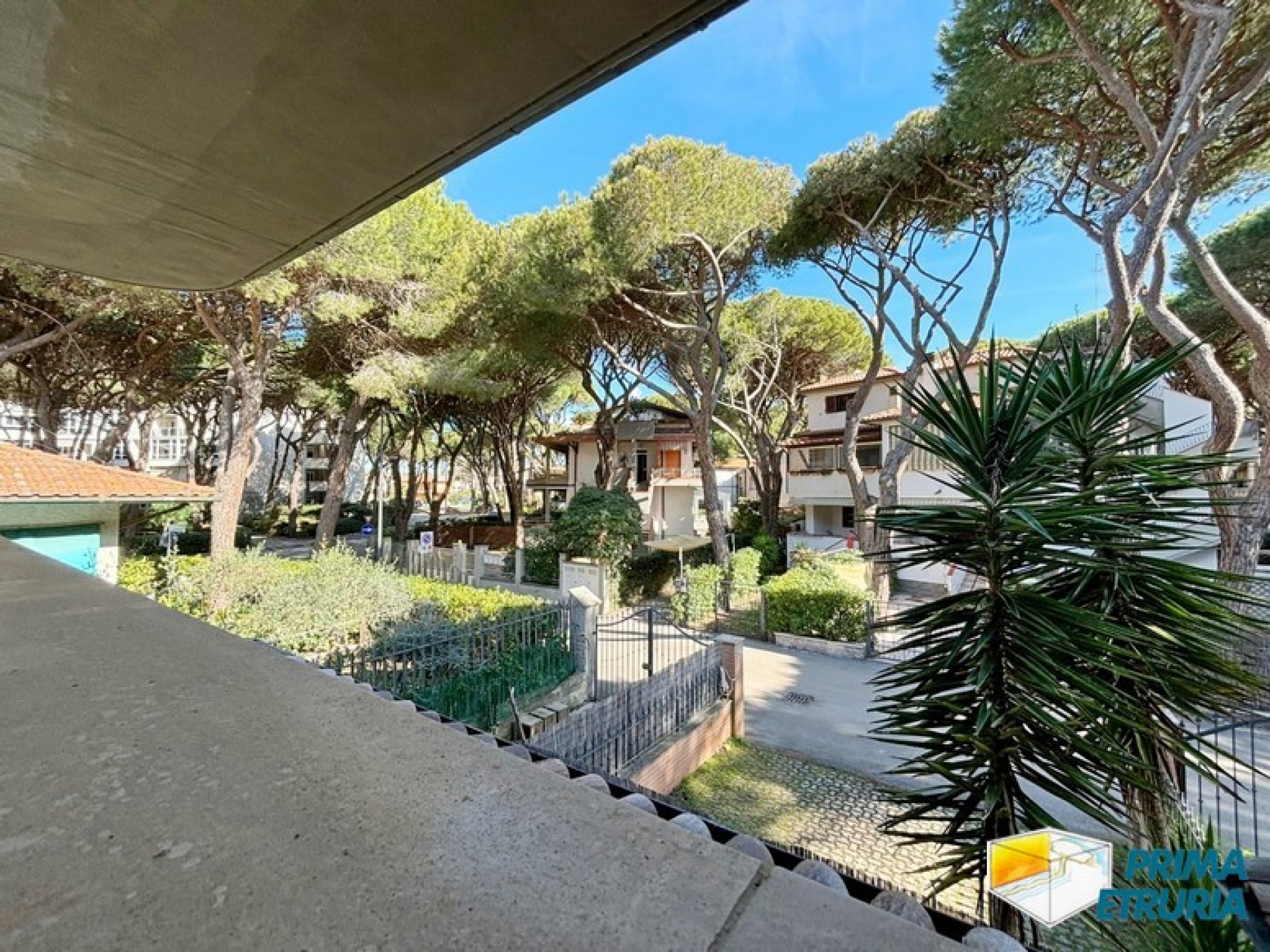 Incantevole Trilocale Immerso nella Pineta di Rosmarina: Relax e Natura a Due Passi dal Mare - ZONA ROSMARINA -