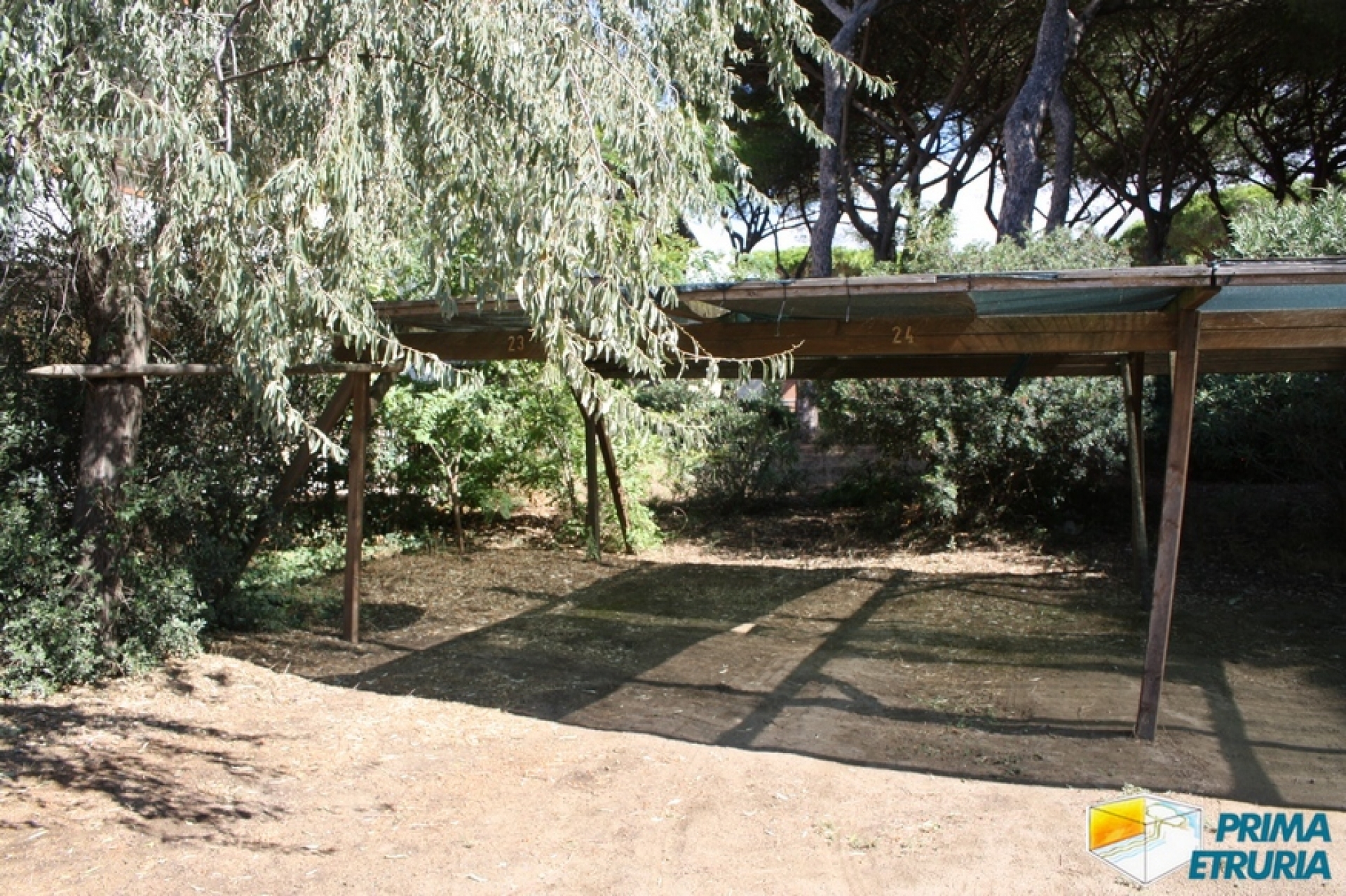 VENDESI QUOTA IN COOPERATIVA "LA TARTARUGA" - ZONA ROSMARINA -
